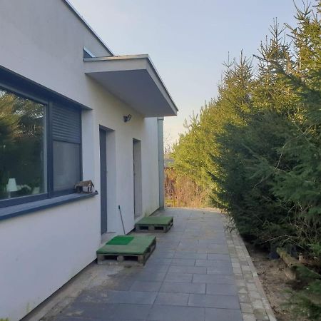 Maly Apartament W Zieleni Blisko Jeziora Środa Wielkopolska Buitenkant foto
