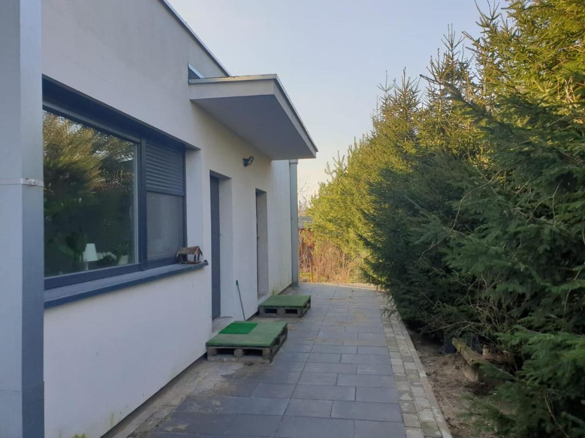 Maly Apartament W Zieleni Blisko Jeziora Środa Wielkopolska Buitenkant foto
